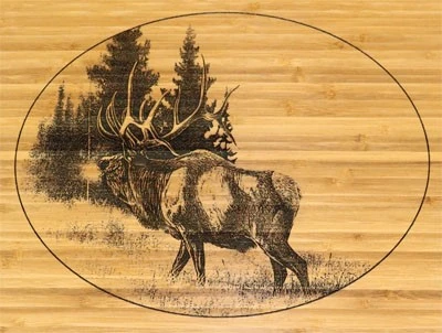Laser marking bamboo marking pattern Laser marking bamboo marking pattern